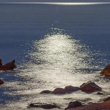 San Domenico 호텔 3*