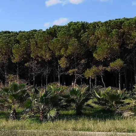 Hotel San Domenico 3*