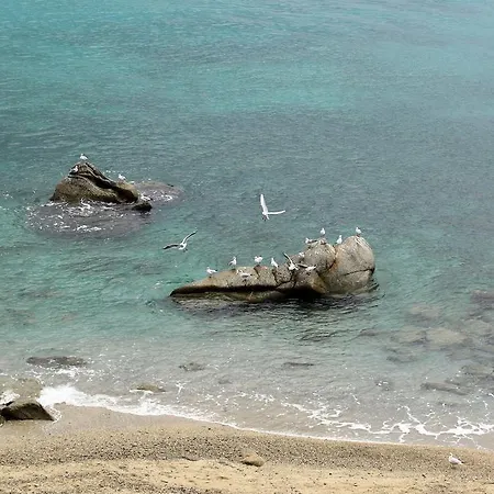 Hotel San Domenico 3*