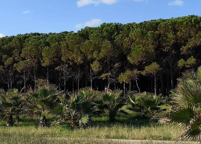 Hotel San Domenico 3*