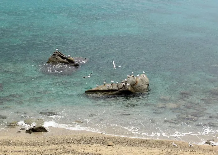 Отель San Domenico 3*