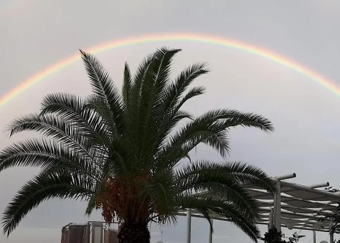 Hotel San Domenico 3*